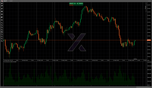 True Volumeの表示画像